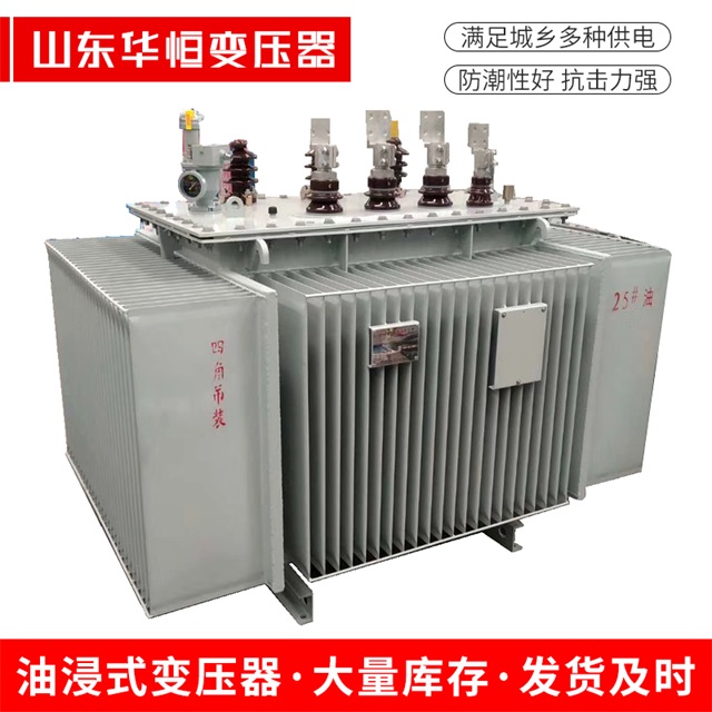 S13-10000/35六安六安六安电力变压器厂家