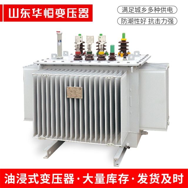S13-10000/35六安六安六安电力变压器